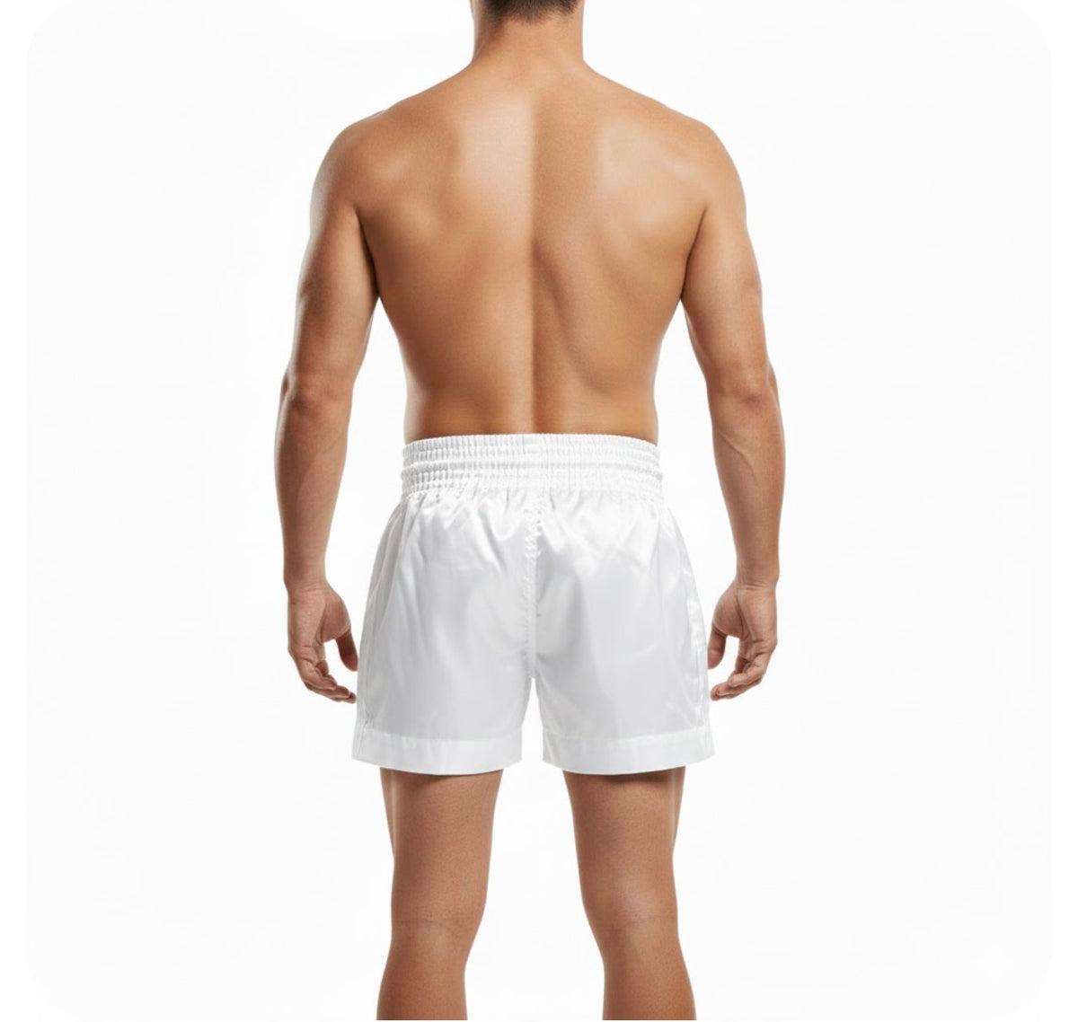 Pro Boxing Shorts