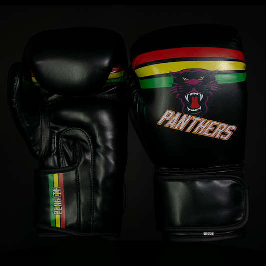 Panthers Boxing Gloves  | Sydney | Zett Sports