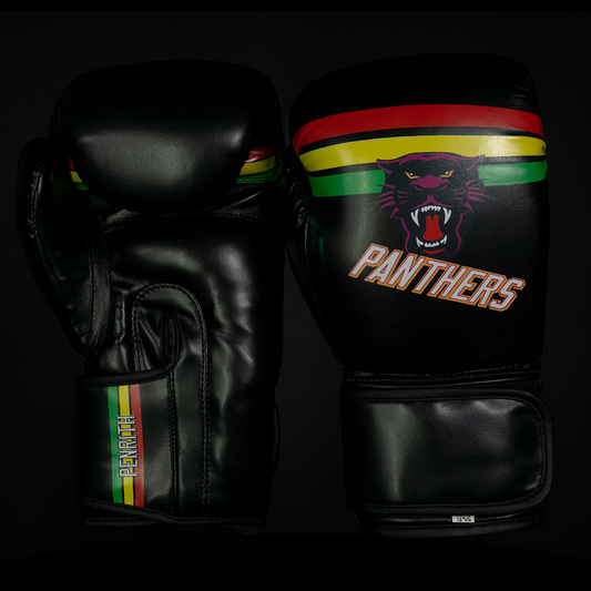 Panthers Boxing Gloves