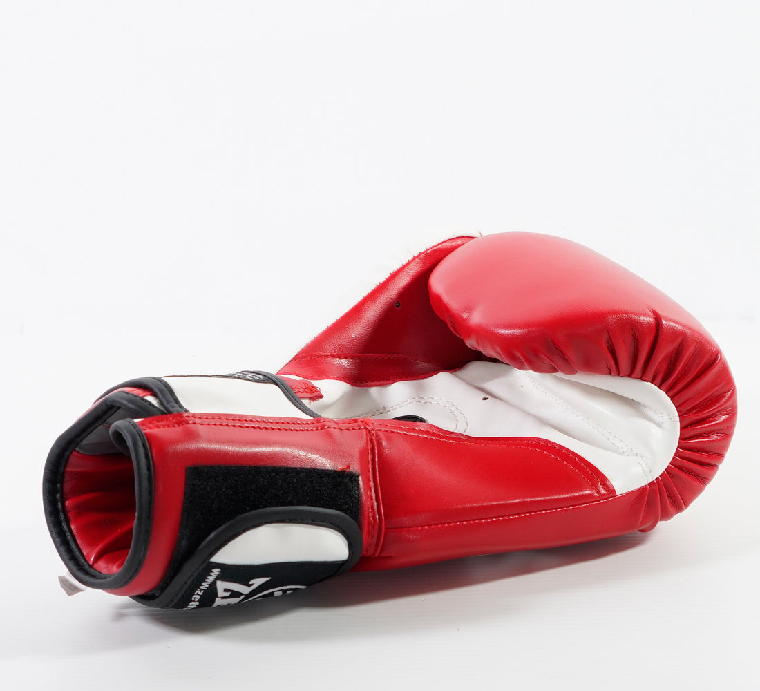 ZETT CLASSIC BOXING GLOVES